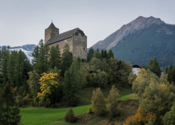 Chi ha vinto il Premio Wakker 2018?