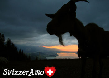 Buon 2016. Che sia speciale!