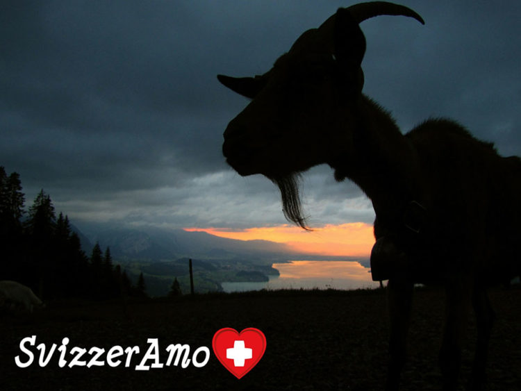 Buon 2016. Che sia speciale!