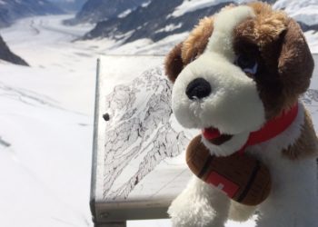 Bollettino neve in Svizzera: sciare informati