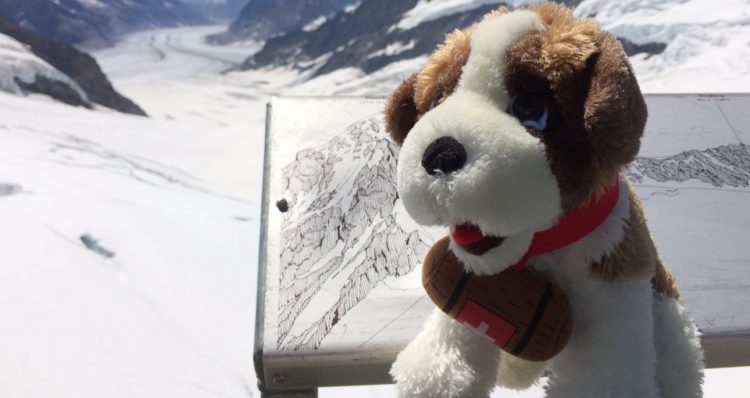 Bollettino neve in Svizzera: sciare informati