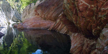 Gole della Breggia: Jurassic Park alla svizzera