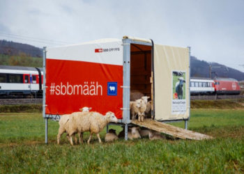 Il migliore tosaerba della Svizzera?