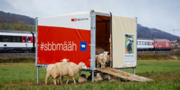 Il migliore tosaerba della Svizzera?