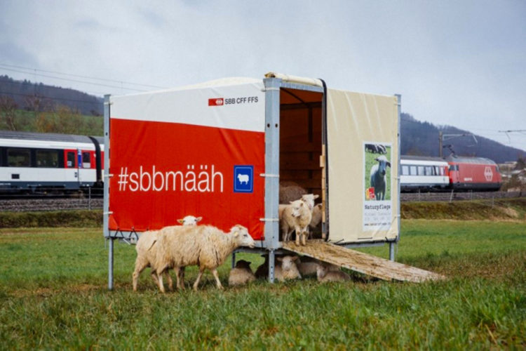 Il migliore tosaerba della Svizzera?