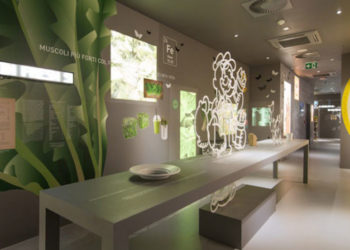 Basilea la piccola capitale