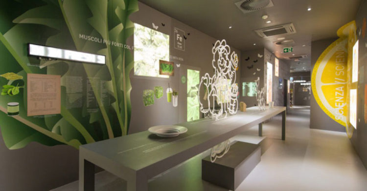 Basilea la piccola capitale