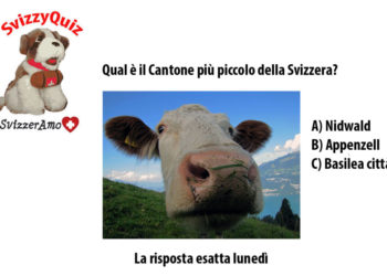 SvizzyQuiz: qual è il Cantone più piccolo della Svizzera?