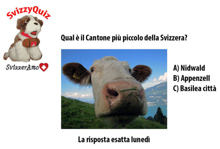 SvizzyQuiz: qual è il Cantone più piccolo della Svizzera?