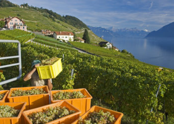 Vaud, viaggio nella terra dei sensi