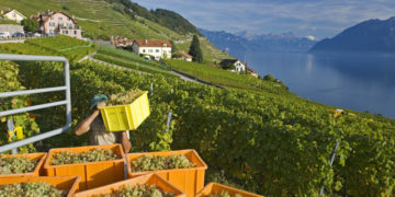 Vaud, viaggio nella terra dei sensi