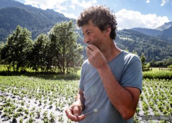 Viavai: la Svizzera incontra la Lombardia