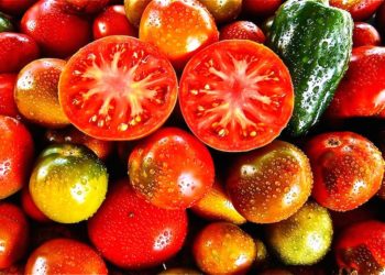 Zurigo vegan e vegetariana: kebab di seitan e gelati bio