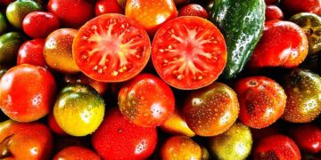 Zurigo vegan e vegetariana: kebab di seitan e gelati bio