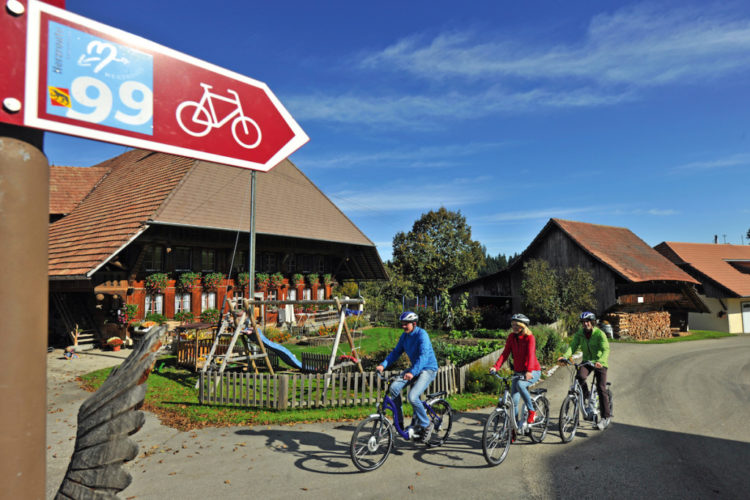 Come girare la Svizzera in treno e in bicicletta