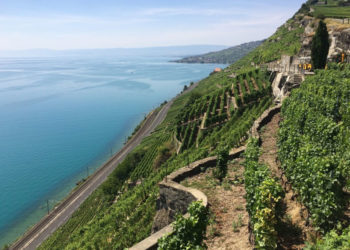 Canton Vaud da odorare