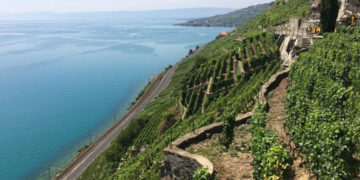 Canton Vaud da odorare