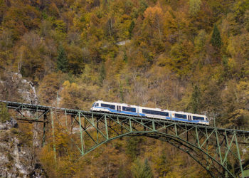 In treno nei boschi tra Locarno e Domodossola