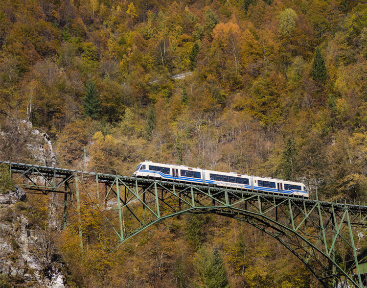 In treno nei boschi tra Locarno e Domodossola