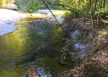 Sense: Il fiume più naturale delle Alpi