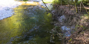 Sense: Il fiume più naturale delle Alpi