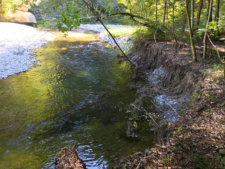 Sense: Il fiume più naturale delle Alpi