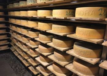 Al mercato di Bellinzona protagonisti i formaggi d’alpeggio