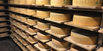 Al mercato di Bellinzona protagonisti i formaggi d’alpeggio