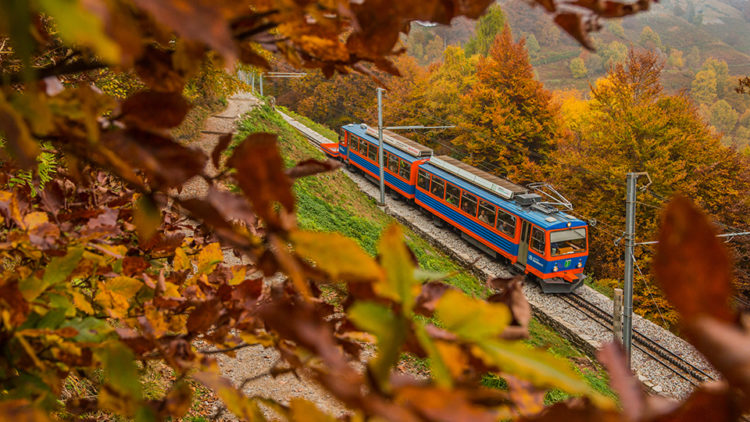 La Ferrovia del Monte Generoso dà l’arrivederci al 2020