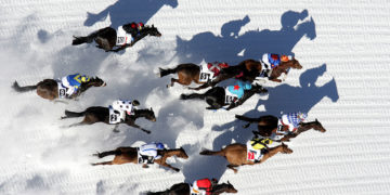 A St. Moritz criniere al vento sul ghiaccio