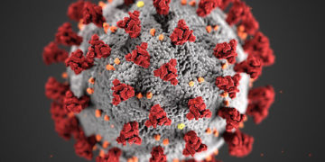 Coronavirus in Svizzera: ecco gli aggiornamenti