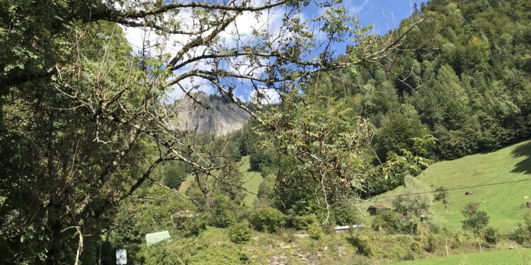 Su e giù per le montagne della Svizzera 5 – Brienzer Rothorn