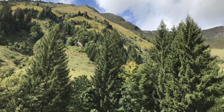 Su e giù per le montagne della Svizzera 5 – Brienzer Rothorn