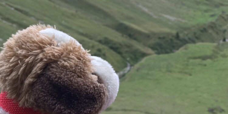 Su e giù per le montagne della Svizzera 5 – Brienzer Rothorn