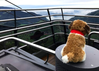 Su e giù per le montagne della Svizzera, 6 – Stanserhorn