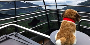 Su e giù per le montagne della Svizzera, 6 – Stanserhorn