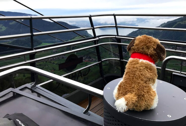 Su e giù per le montagne della Svizzera, 6 – Stanserhorn