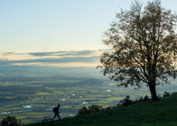 A piedi contro la crisi