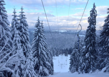 Val de Travers il regno delle grandi conifere