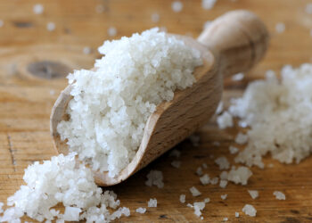 Il sale di Bex. L’oro bianco della Svizzera