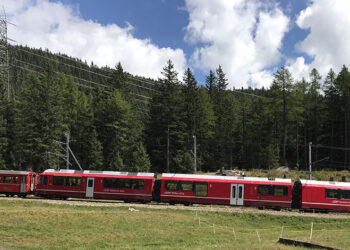 Su e giù lungo la linea del Bernina
