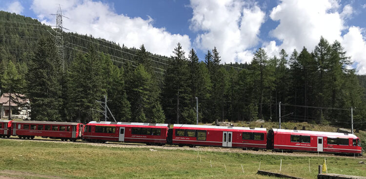 Su e giù lungo la linea del Bernina