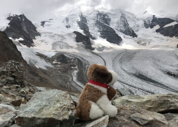 Al cospetto del Bernina