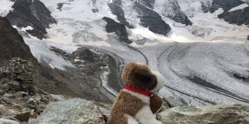 Al cospetto del Bernina
