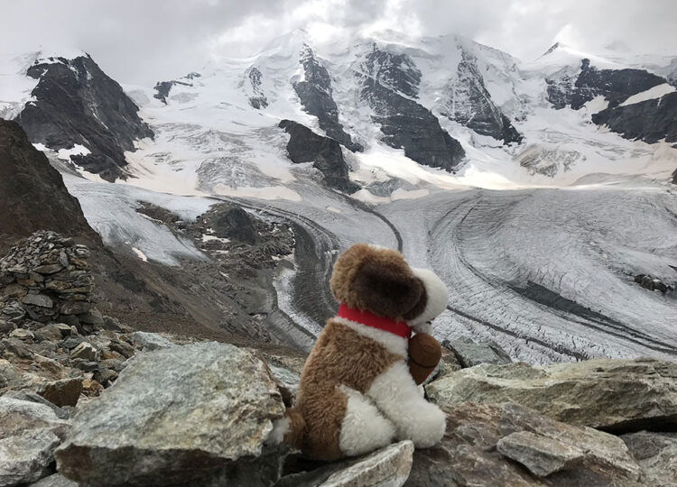 Al cospetto del Bernina