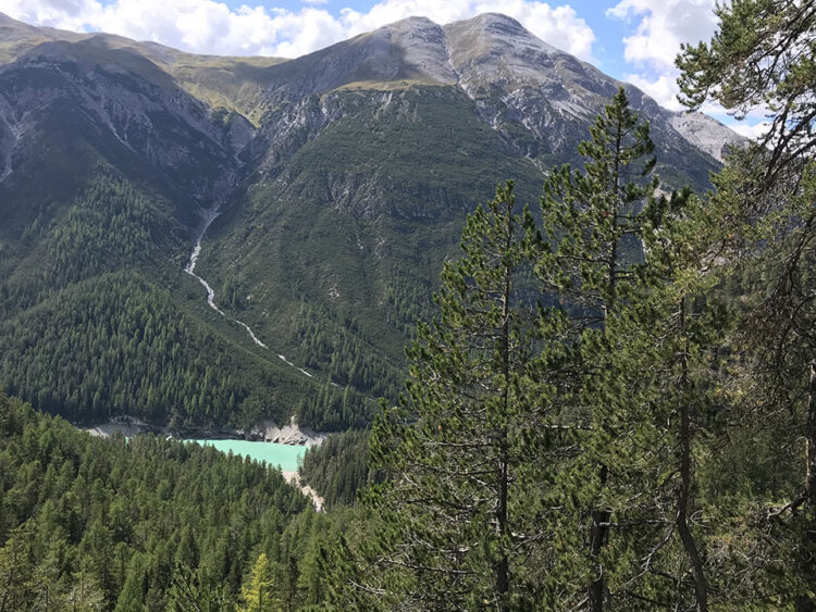 Allegra! Natura e cultura per finire in bellezza