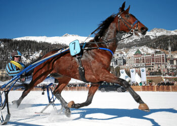 Cavalli sul bianco a St. Moritz