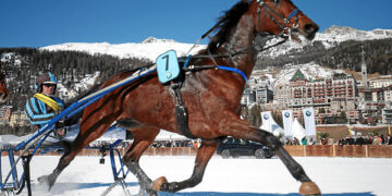 Cavalli sul bianco a St. Moritz