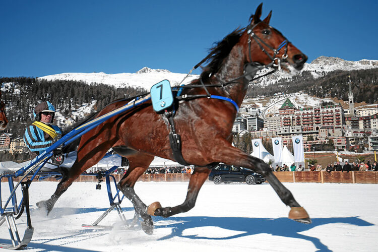 Cavalli sul bianco a St. Moritz