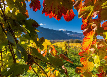 Viaggio d’autunno: Svizzy nella terra di Heidi